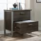 Sauder Rock Glen 2-Drawer Lateral File Cabinet - image 3