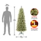 National Tree 6ft Arcadia Pine Cashmere Slim Christmas Tree - image 4