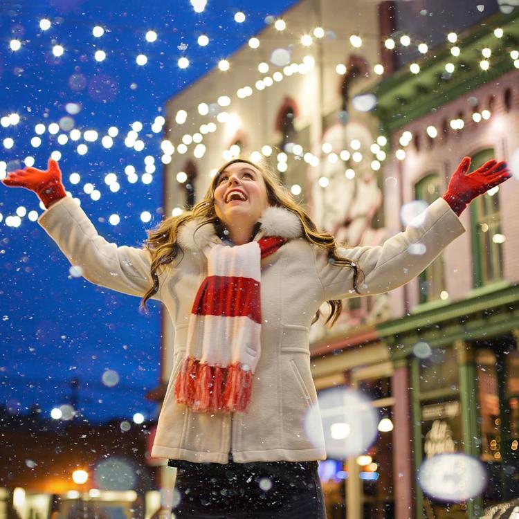 Northlight Seasonal 50.5ft. Frosted Clear Mini Christmas Lights