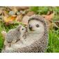 Hi-Line Gift Mother &amp; Baby Hedgehogs Garden Statue - image 6