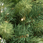 Northlight 32in. Clear LED Mossy Cashmere Pine Christmas Wreath - image 5