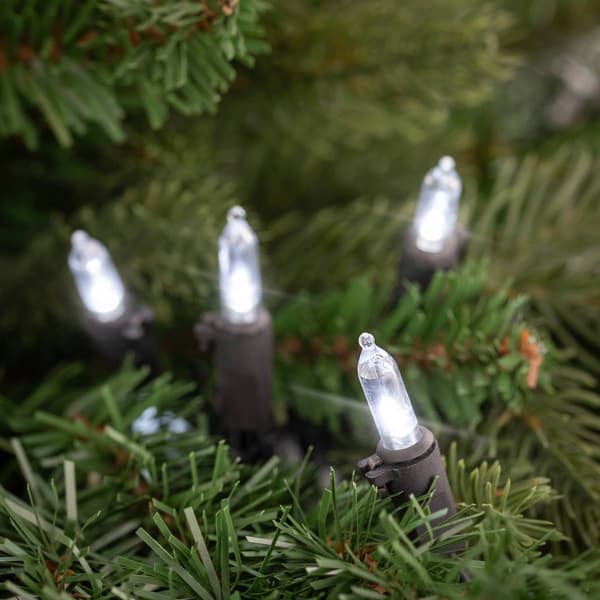 Northlight Seasonal 100ct. Pure White LED Mini Christmas Lights