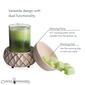 Candle Warmers Etc. Lattice 2-in-1 Wax Warmer - image 5