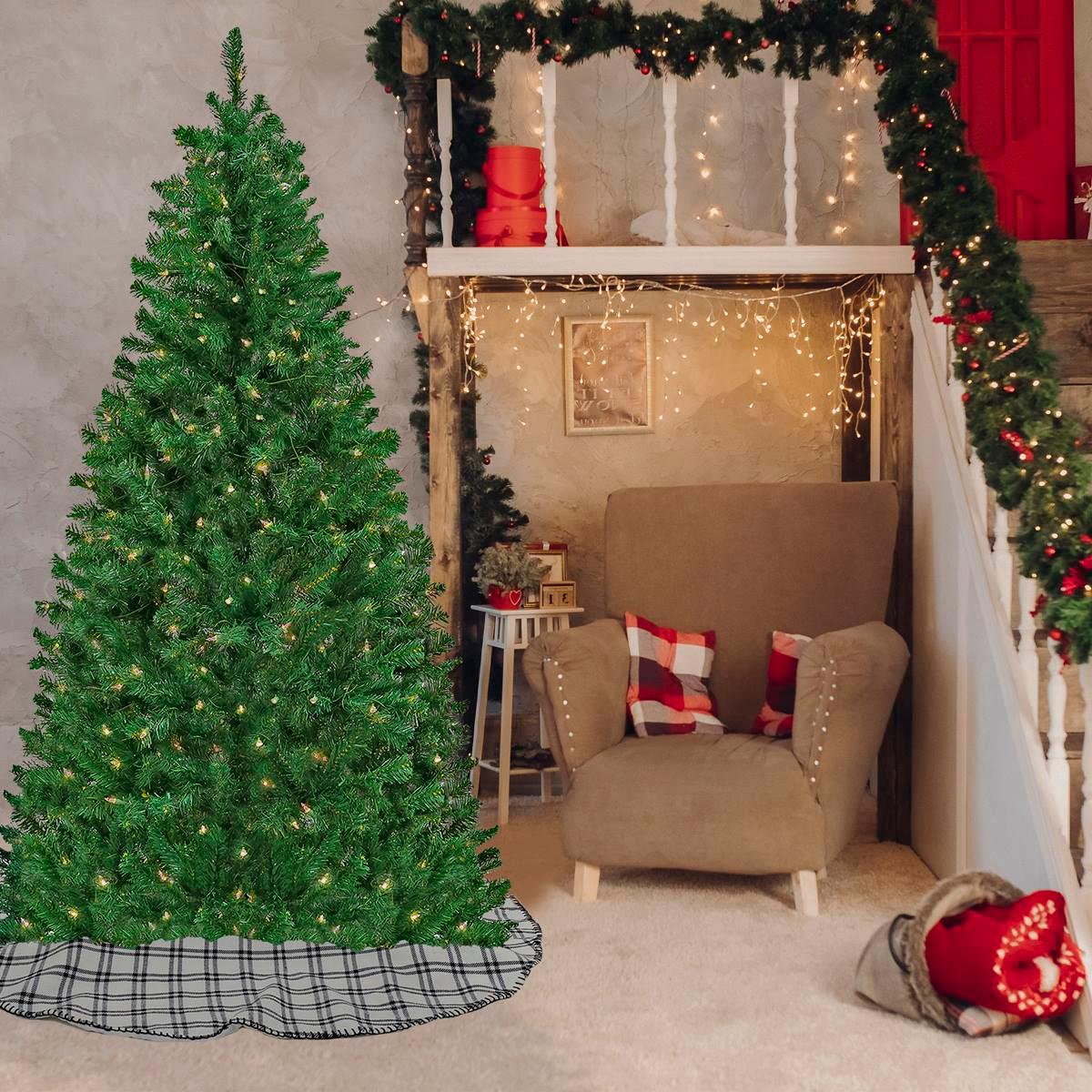 National Tree 6ft. Acacia Pre-Lit Christmas Tree