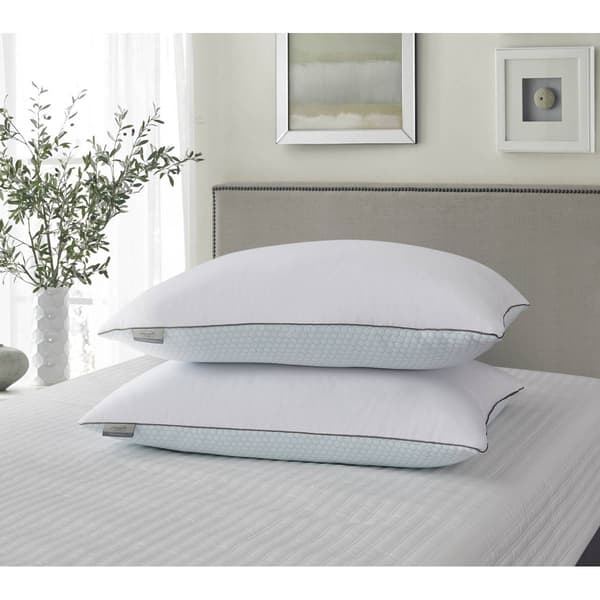 Kathy Ireland Summer-Winter Goose Feather Pillow - 2 Pack