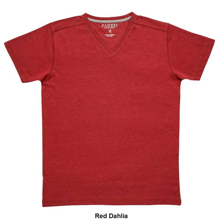 Young Mens Jared Short Sleeve V-Neck Tee