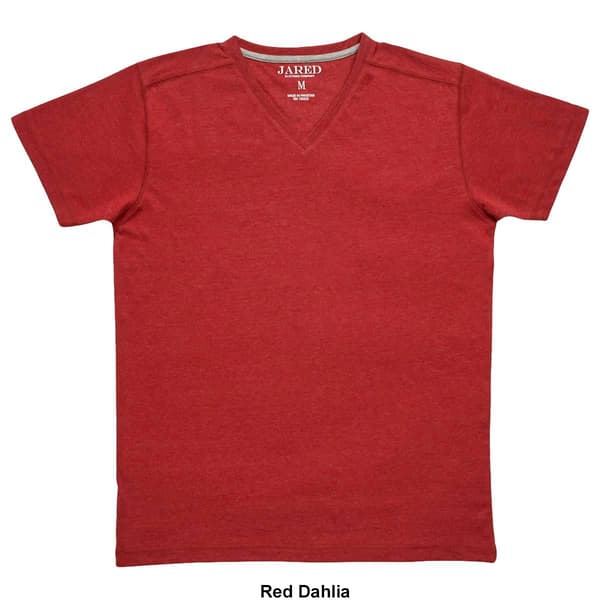 Young Mens Jared Short Sleeve V-Neck Tee
