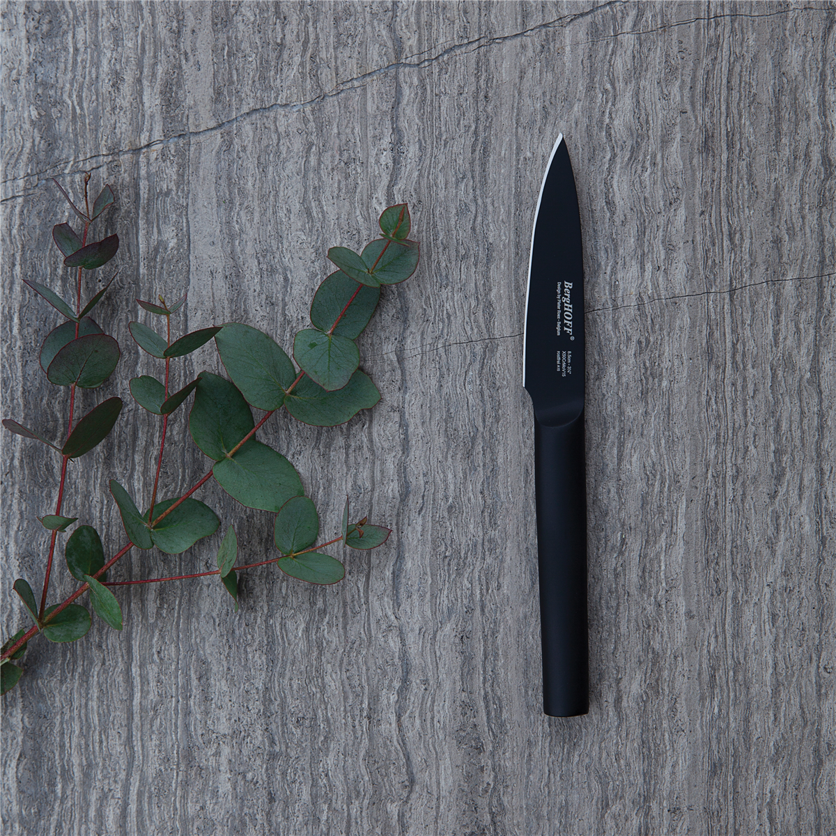BergHOFF Ron Stainless Steel Paring Knife