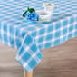 Plaid Tablecloth - Blue/White - image 1