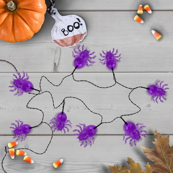 Northlight Seasonal 10ct. Purple LED Spider Halloween Lights