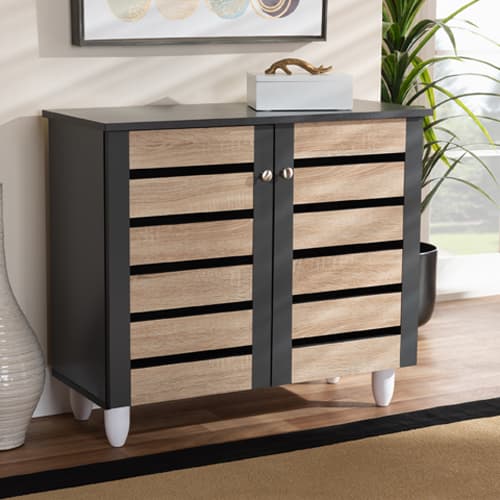 Baxton Studio Gisela 2 Door Shoe Storage Cabinet - image 