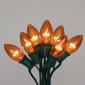 Northlight 25ct. Orange Transparent C9 Christmas String Lights - image 3