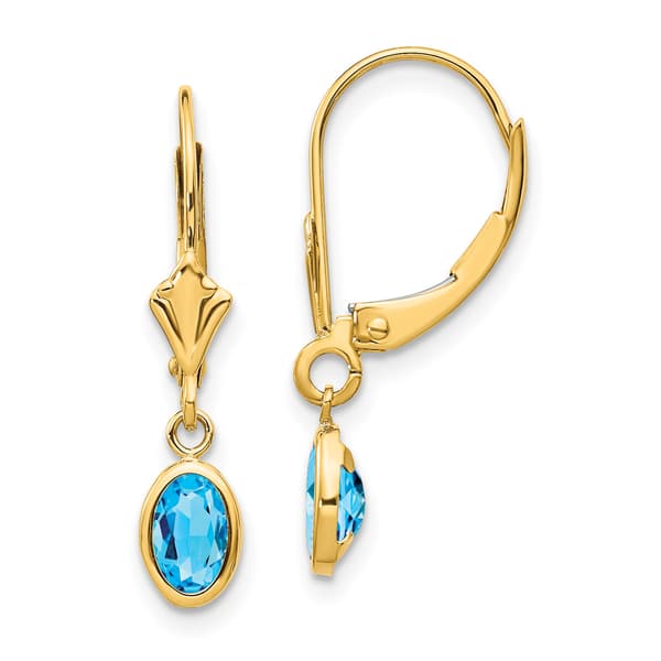 Gemstone Classics&#40;tm&#41; 14kt. Gold Blue Topaz Leverback Earrings - image 