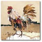 Courtside Market Country Rooster II Wall Art - image 1