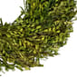 Northlight Seasonal 15in. Artificial Green Foliage Spring Wreath - image 4