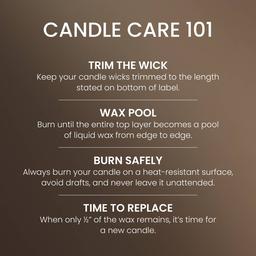 Yankee Candle® 14.25oz. Seaside Woods Pillar Candle