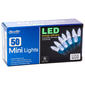 Sienna Clear White 50ct. Incandescent Christmas Lights - image 1