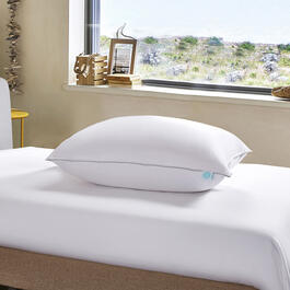 Blue Ridge Martha Stewart 400TC Premium White Down Pillow