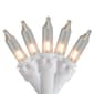 Northlight Seasonal 50ct. Clear Mini Christmas Light Set - image 1