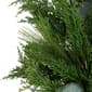 Northlight Seasonal 24in. Eucalyptus Artificial Christmas Wreath - image 5