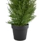 Northlight Seasonal 3ft. Artificial Cedar Pine Arborvitae Tree - image 4