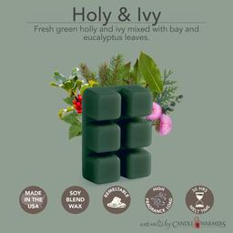 Candle Warmers Etc. 8pk. Balsam Fir &amp; Holly &amp; Ivy Wax Melts