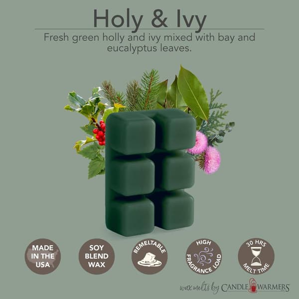 Candle Warmers Etc. 8pk. Balsam Fir &amp; Holly &amp; Ivy Wax Melts