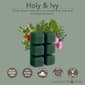 Candle Warmers Etc. 8pk. Balsam Fir &amp; Holly &amp; Ivy Wax Melts - image 3