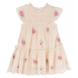 Baby Girl &#40;3-24M&#41; Rare Editions Floral Embroidery Dress