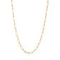 Gold Classics(tm) Yellow Gold Paperclip Chain Necklace - image 1
