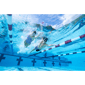 Womens Dolfin® Uglies Mish Mash Eclectic V-2 Back One Piece - image 6