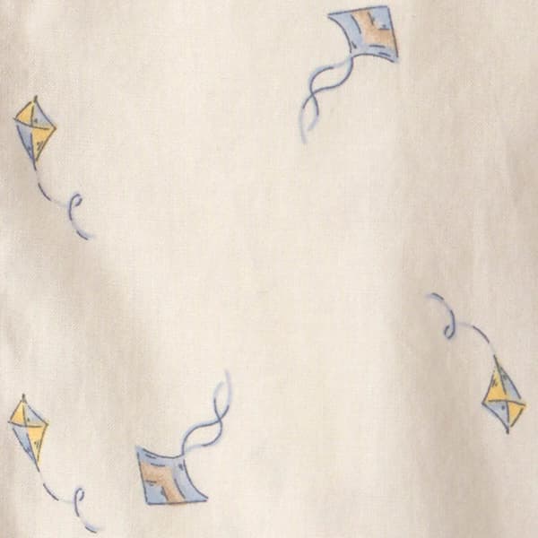 Toddler Boy Carter''s Kites Short Set