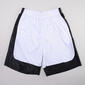 Mens Ultra Performance Mesh with Dazzle Side Panel Active Shorts - image 1