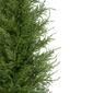 Northlight Seasonal 3ft. Artificial Cedar Pine Arborvitae Tree - image 5