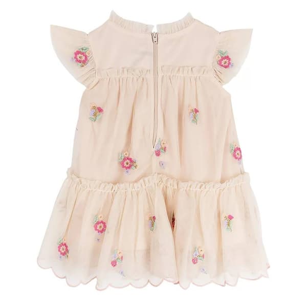 Baby Girl &#40;3-24M&#41; Rare Editions Floral Embroidery Dress