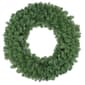 Northlight Seasonal Colorado Spruce Artificial Christmas Wreath - image 1