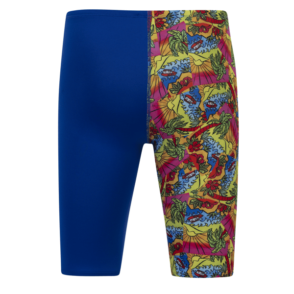 Dolfin Mens Print Jammer