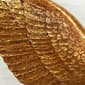 9th & Pike&#174; Gold Birds Wall D&#233;cor Sculptures - Set of 3 - image 4