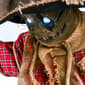 National Tree 76in. Animated Halloween Spooky Scarecrow - image 2