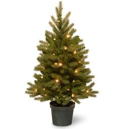 National Tree 3ft. Battery Operated Jersey Fraser Fir Tree