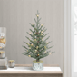 Puleo International 2ft. Pre-Lit Potted Arctic Fir Christmas Tree - image 2