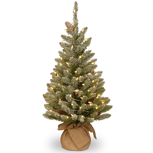 National Tree 3ft. Snowy Concolor Fir Tree-Pre-lit - Boscov's