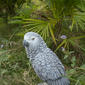 Hi-Line Gift Gabon Parrot On Stump Garden Statue - image 7