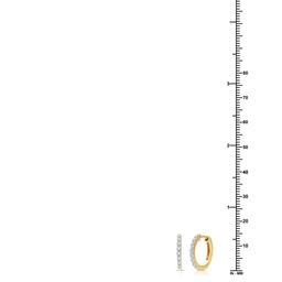 Nova Star® Lab Grown Diamond Gold Plated Circle Hoop Earring Set