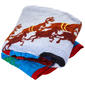 Polar Express Retro Railroad Throw - image 1