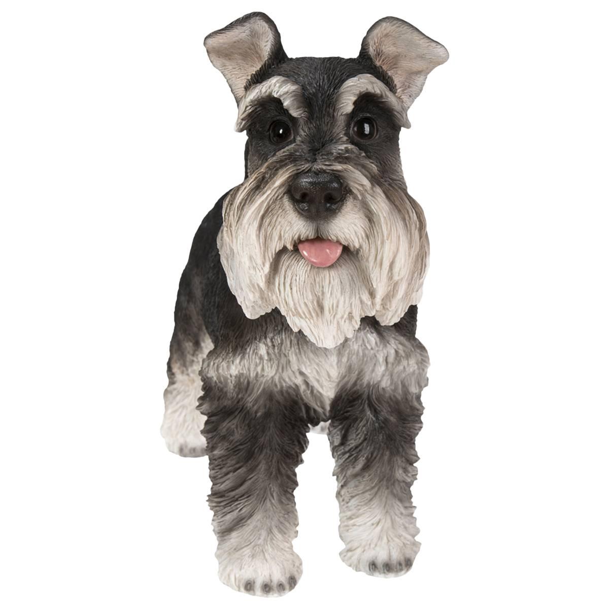 Open Video Modal for Hi-Line Gift Standing Miniature Schnauzer Garden Statue