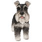 Hi-Line Gift Standing Miniature Schnauzer Garden Statue - image 1