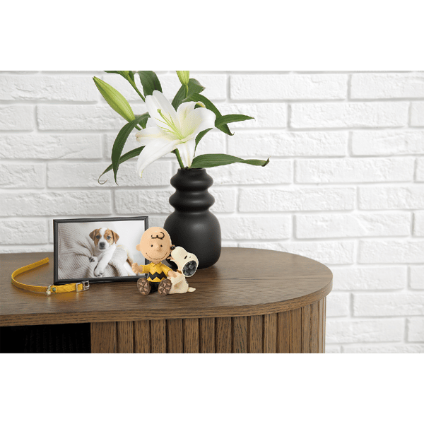 Jim Shore Peanuts Charlie Brown with Snoopy Figurine