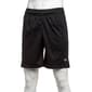 Mens Champion(R) Mesh Shorts - image 1