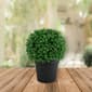 Northlight Seasonal Artificial Boxwood Ball Topiary in Round Pot - image 2